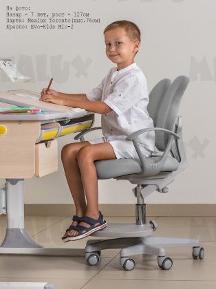 Детское кресло Mealux Mio-2 (Y-408) KG